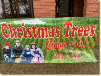 Norfolk Christmas Trees Banner - Cut your Own!